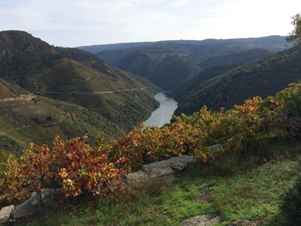 Acogedor Apartamento Ribeira Sacra Monforte De Lemos Luaran gambar